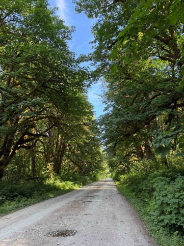 5 Upper Pitt River Road, Pitt Meadows, BC 