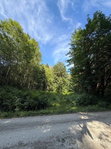 5 Upper Pitt River Road, Pitt Meadows, BC 