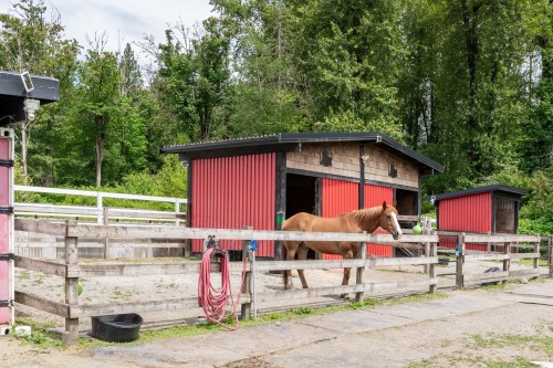 24991 100 Avenue, Maple Ridge, BC - Outdoor