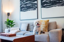 105-375 59th Avenue W Vancouver, BC V5X 0J4
