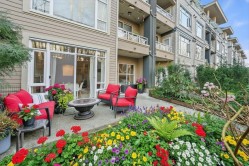 215-3600 Windcrest Drive  North Vancouver, BC V7G 2S5