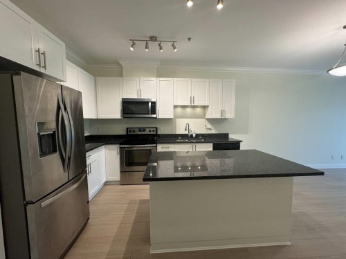 203-11580 223 St, Maple Ridge, BC - Indoor Photo Showing Kitchen With Stainless Steel Kitchen