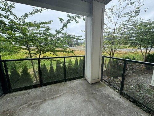 203-11580 223 St, Maple Ridge, BC - Outdoor