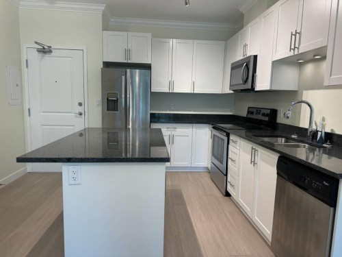 203-11580 223 St, Maple Ridge, BC - Indoor Photo Showing Kitchen With Stainless Steel Kitchen With Double Sink