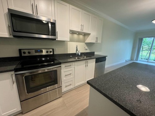 203-11580 223 St, Maple Ridge, BC - Indoor Photo Showing Kitchen With Stainless Steel Kitchen With Double Sink