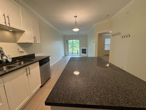 203-11580 223 St, Maple Ridge, BC - Indoor Photo Showing Kitchen With Double Sink