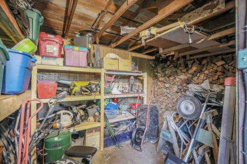 11428 207 Street, Maple Ridge, BC - Indoor Photo Showing Basement