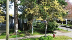 4496 Ontario Street  Vancouver, BC V5V 3H1