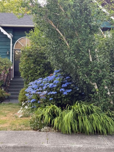 11220 King Road, Richmond, BC 