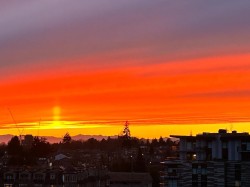 609-7428 Alberta Street  Vancouver, BC V5X 0J5