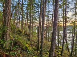Lot 108 Seaview Road Sechelt, BC V0N 3A4