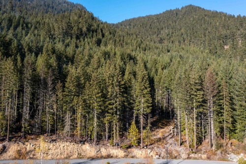 8594 Ashleigh Mcivor Drive, Whistler, BC 