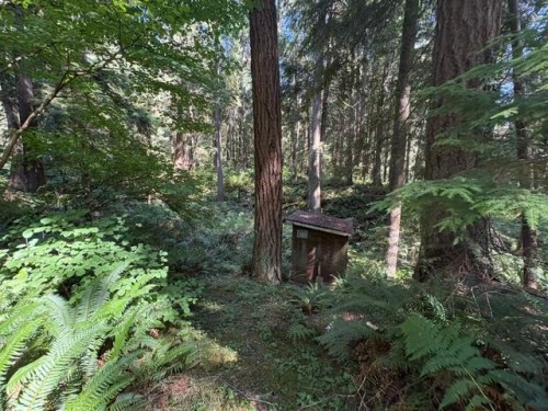 14202 Marc Road, Maple Ridge, BC - Outdoor
