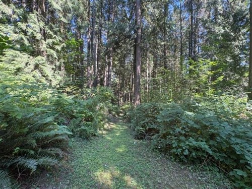 14202 Marc Road, Maple Ridge, BC - Outdoor