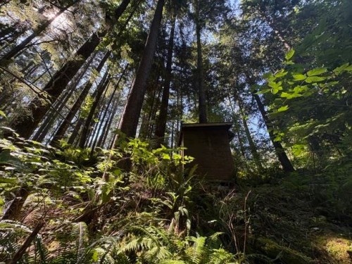 14202 Marc Road, Maple Ridge, BC - Outdoor