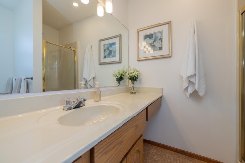 455 Alouette Drive, Coquitlam, BC 