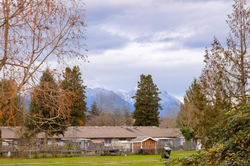 11809 230 Street, Maple Ridge, BC - Outdoor