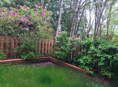 220 Cornell Way, Port Moody, BC - Outdoor