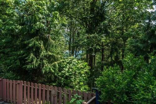 220 Cornell Way, Port Moody, BC - Outdoor