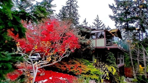 5475 Hydaway Place, Halfmoon Bay, BC - Outdoor
