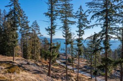 822 Mcintosh Lane Bowen Island, BC V0N 1G2