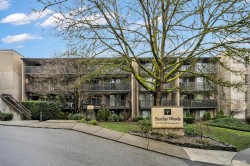 206-9857 Manchester Drive Burnaby, BC V3N 4P5