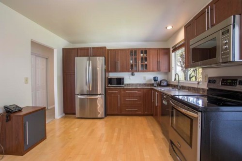 1470 June Crescent, Port Coquitlam, BC - Indoor Photo Showing Kitchen With Double Sink