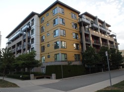 504-621 Regan Avenue  Coquitlam, BC V3J 0K1
