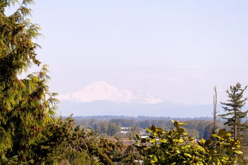 1252 Gateway Place, Port Coquitlam, BC - Outdoor With View