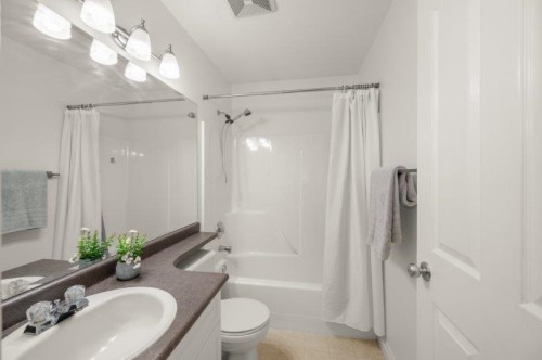 10091 243Rd Street, Maple Ridge, BC - Indoor Photo Showing Bathroom