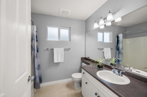 10091 243Rd Street, Maple Ridge, BC - Indoor Photo Showing Bathroom