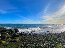 lot 17 Bodega Beach Drive Galiano Island, BC V0N 1P0