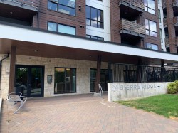 408-11703 Fraser Street Maple Ridge, BC V2X 9A7