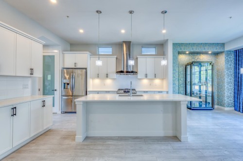23191 112B Avenue, Maple Ridge, BC - Indoor Photo Showing Kitchen With Upgraded Kitchen