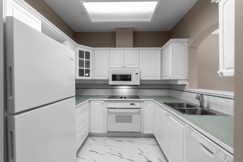 207-2985 Princess Crescent, Coquitlam, BC - Indoor Photo Showing Kitchen With Double Sink