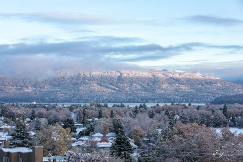 3936 Quesnel Drive, Vancouver, BC - Outdoor With View