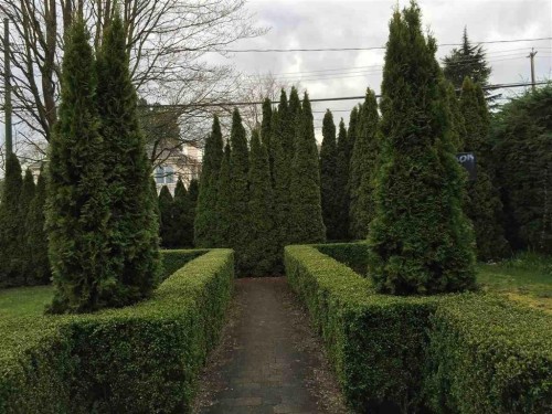 4633 4Th Avenue W, Vancouver, BC - Outdoor