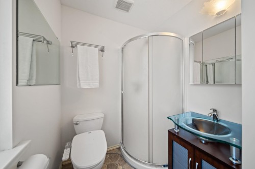 11791 229Th Street, Maple Ridge, BC - Indoor Photo Showing Bathroom