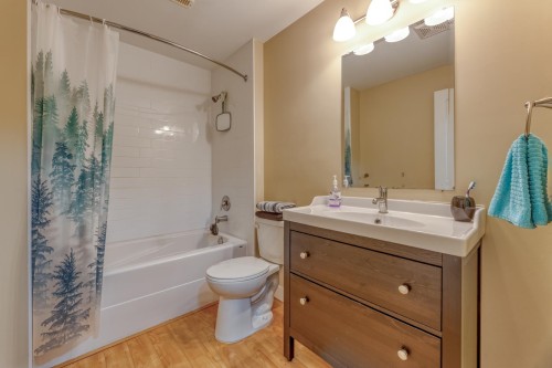 22834 Foreman Drive, Maple Ridge, BC - Indoor Photo Showing Bathroom