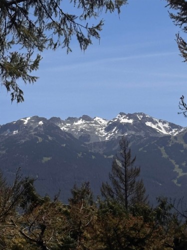 8588 Drifter Way  Whistler, BC V8E 0G2