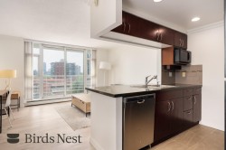 608-189 Davie Street Vancouver, BC V6Z 2X9
