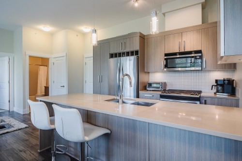 409-22327 River Road, Maple Ridge, BC - Indoor Photo Showing Kitchen With Stainless Steel Kitchen With Double Sink With Upgraded Kitchen