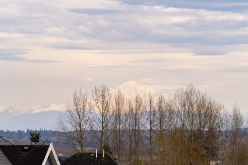1671 Mallard Court, Coquitlam, BC - Outdoor With View