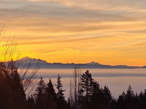 1671 Mallard Court, Coquitlam, BC - Outdoor With Body Of Water With View