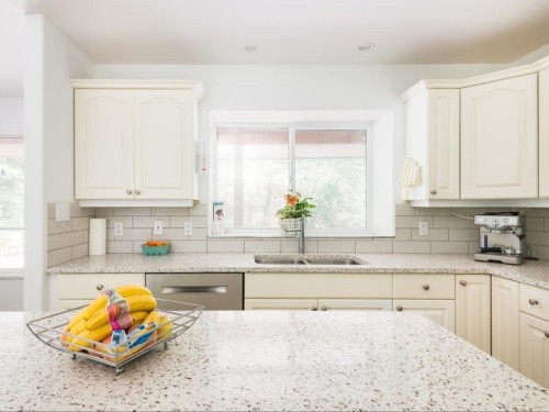 24150 132 Avenue, Maple Ridge, BC - Indoor Photo Showing Kitchen With Double Sink