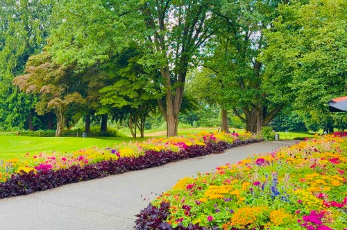 2635 Bobolink Avenue, Vancouver, BC - Outdoor