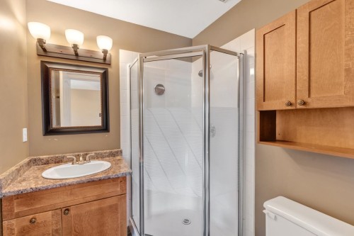 20135 121St Avenue, Maple Ridge, BC - Indoor Photo Showing Bathroom