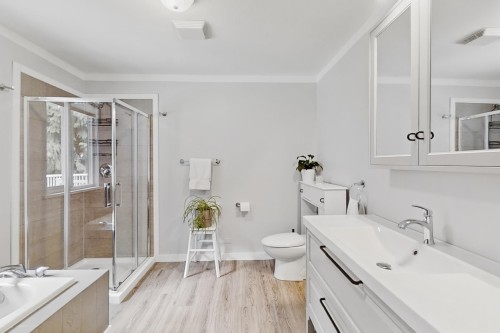 12092 Glenhurst Street, Maple Ridge, BC - Indoor Photo Showing Bathroom