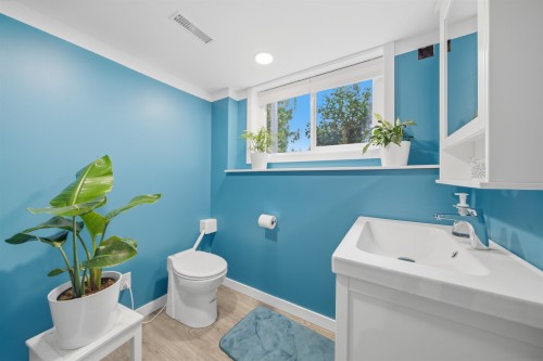 12092 Glenhurst Street, Maple Ridge, BC - Indoor Photo Showing Bathroom