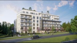302-6859 Cambie Street  Vancouver, BC V6P 3H1